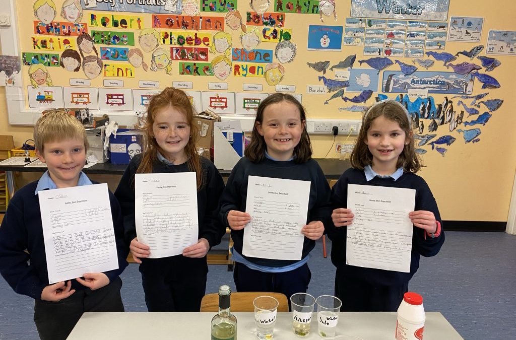 Science Week 2020