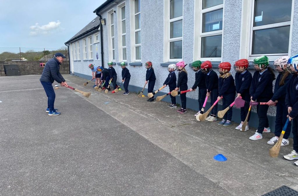 Hurling and Camogie Training